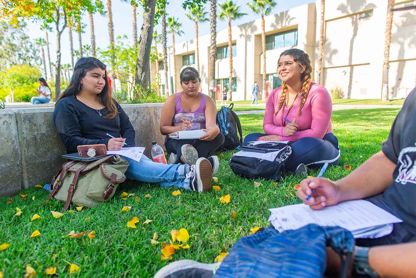 Students meeting and talking on the lawn of campus