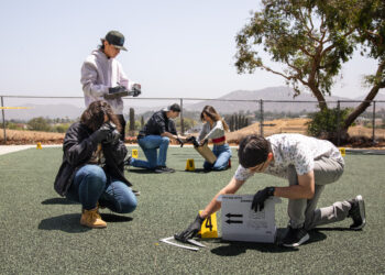 Students studying crime scene investigation